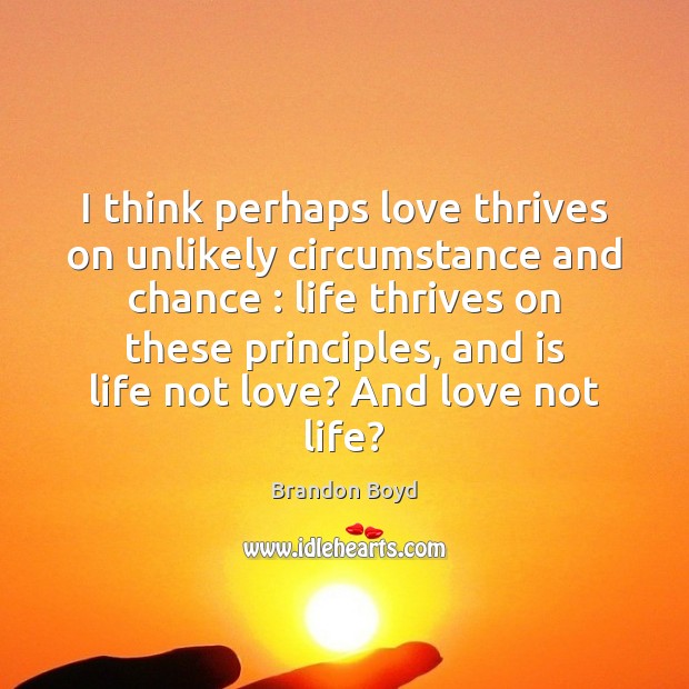 I think perhaps love thrives on unlikely circumstance and chance : life thrives Brandon Boyd Picture Quote