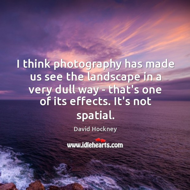 I think photography has made us see the landscape in a very David Hockney Picture Quote
