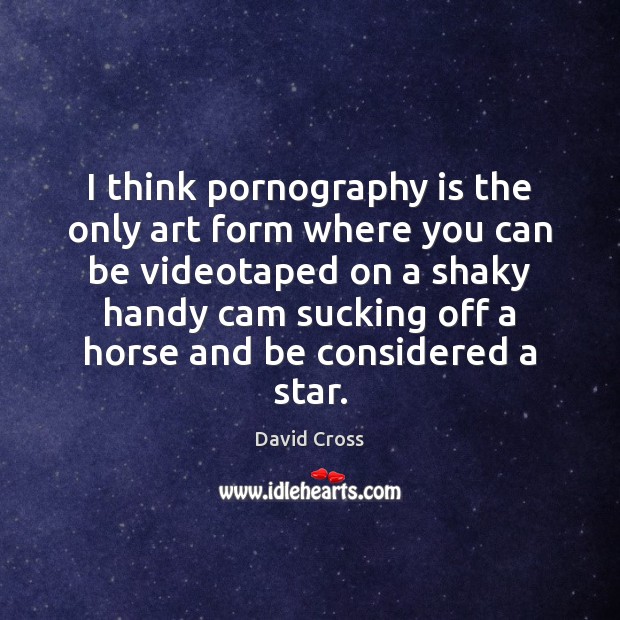 I think pornography is the only art form where you can be 