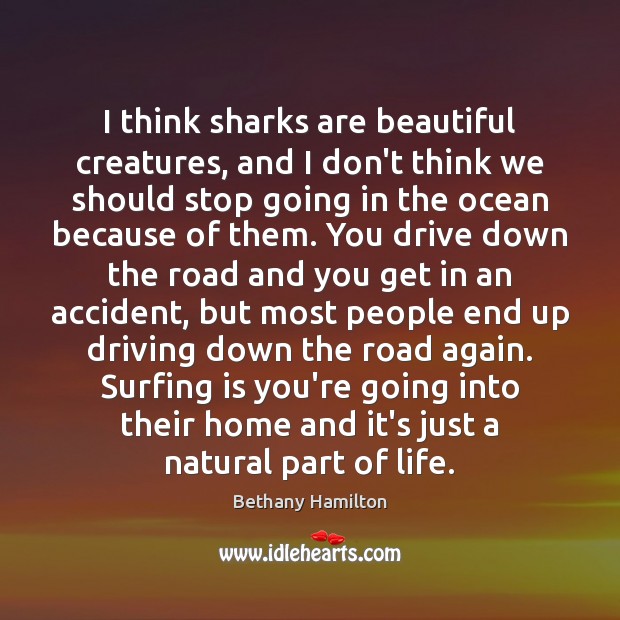 I think sharks are beautiful creatures, and I don’t think we should Bethany Hamilton Picture Quote