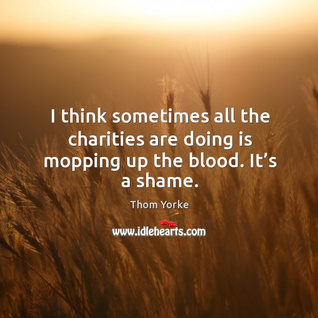 I think sometimes all the charities are doing is mopping up the blood. It’s a shame. Thom Yorke Picture Quote