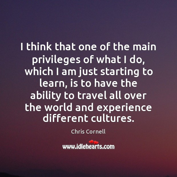 I think that one of the main privileges of what I do, Chris Cornell Picture Quote