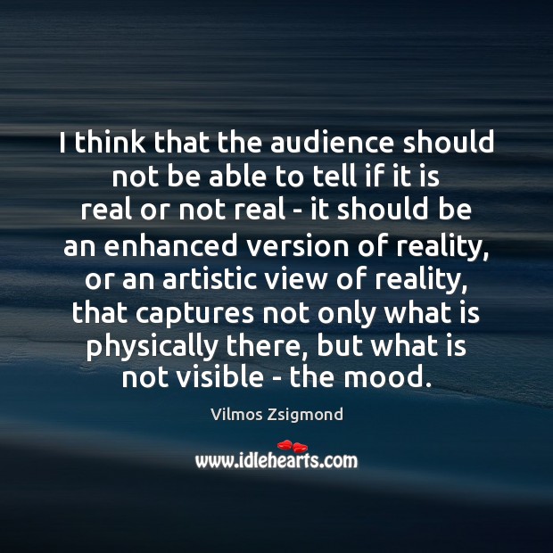 I think that the audience should not be able to tell if Vilmos Zsigmond Picture Quote