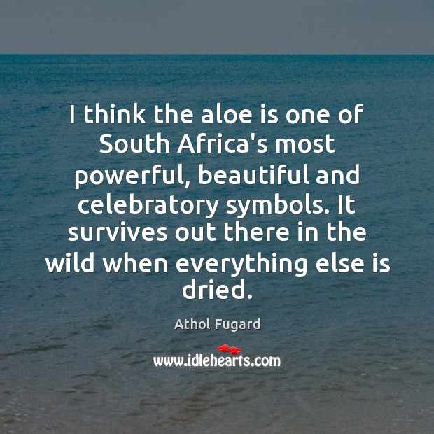 I think the aloe is one of South Africa’s most powerful, beautiful Athol Fugard Picture Quote