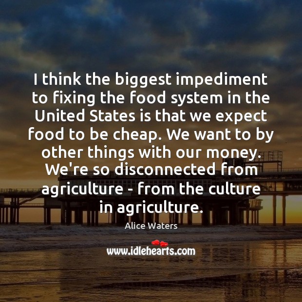 I think the biggest impediment to fixing the food system in the Alice Waters Picture Quote