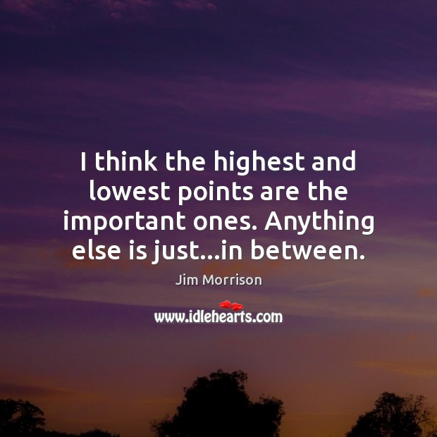 I think the highest and lowest points are the important ones. Anything Jim Morrison Picture Quote