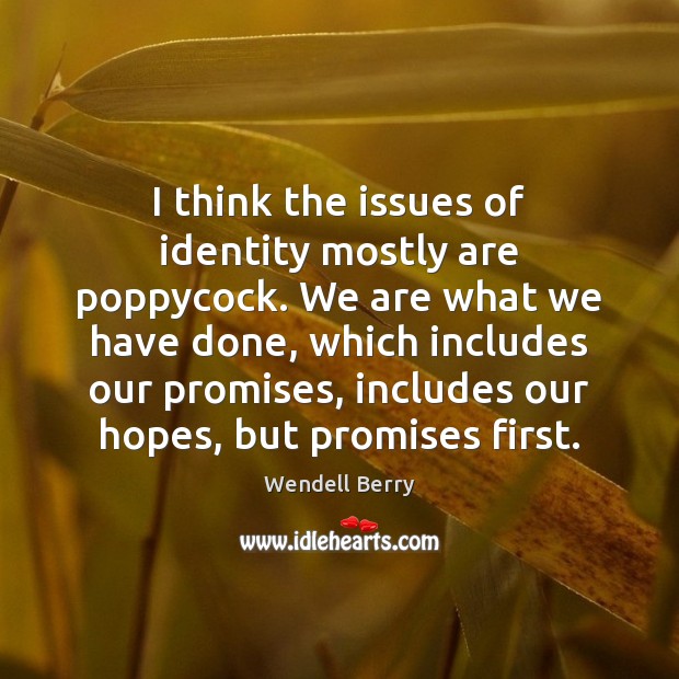 I think the issues of identity mostly are poppycock. We are what Wendell Berry Picture Quote
