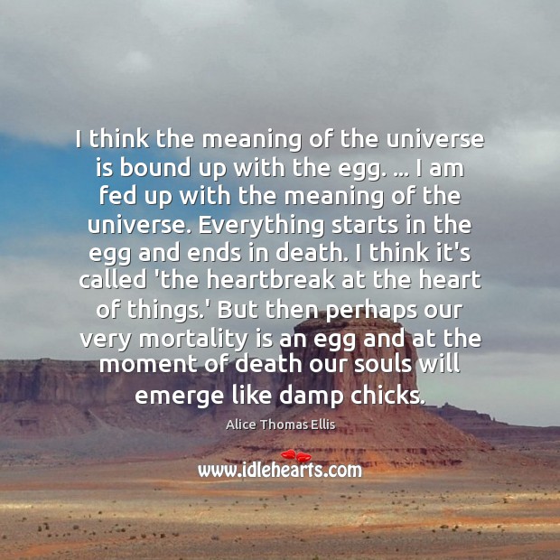 I think the meaning of the universe is bound up with the Alice Thomas Ellis Picture Quote