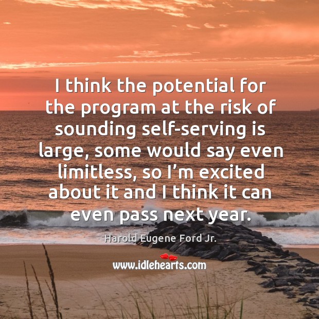 I think the potential for the program at the risk of sounding self-serving is large Harold Eugene Ford Jr. Picture Quote