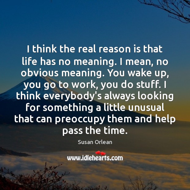 I think the real reason is that life has no meaning. I Susan Orlean Picture Quote