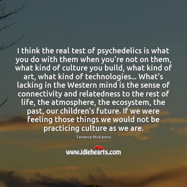I think the real test of psychedelics is what you do with Terence McKenna Picture Quote