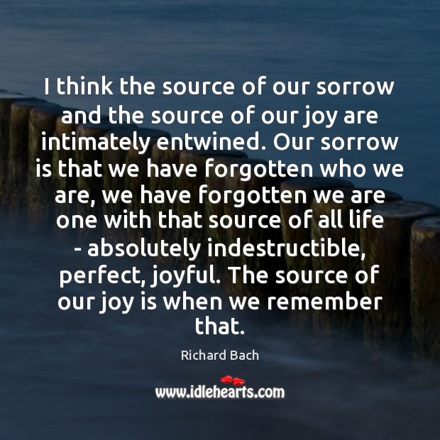 I think the source of our sorrow and the source of our Joy Quotes Image