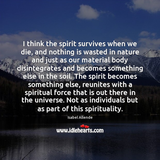 I think the spirit survives when we die, and nothing is wasted Isabel Allende Picture Quote