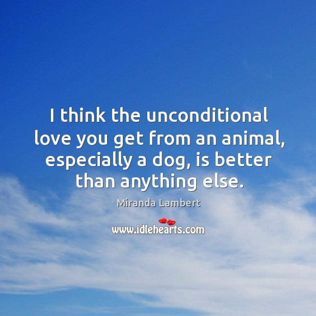I think the unconditional love you get from an animal, especially a Miranda Lambert Picture Quote