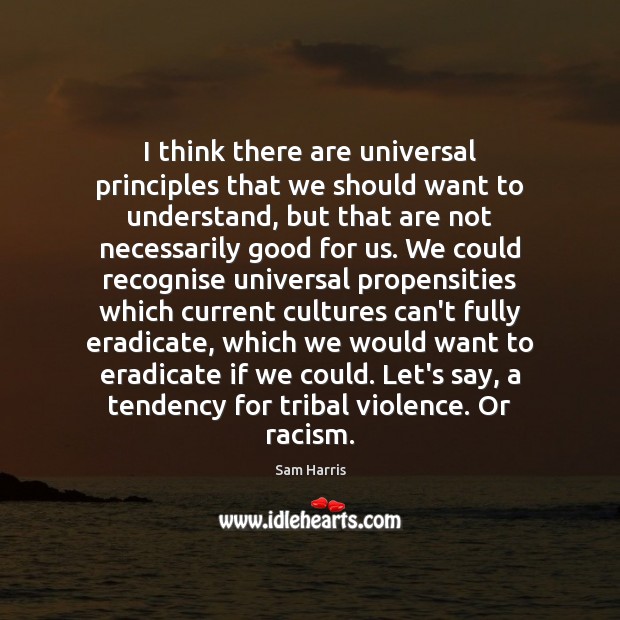 I think there are universal principles that we should want to understand, Image