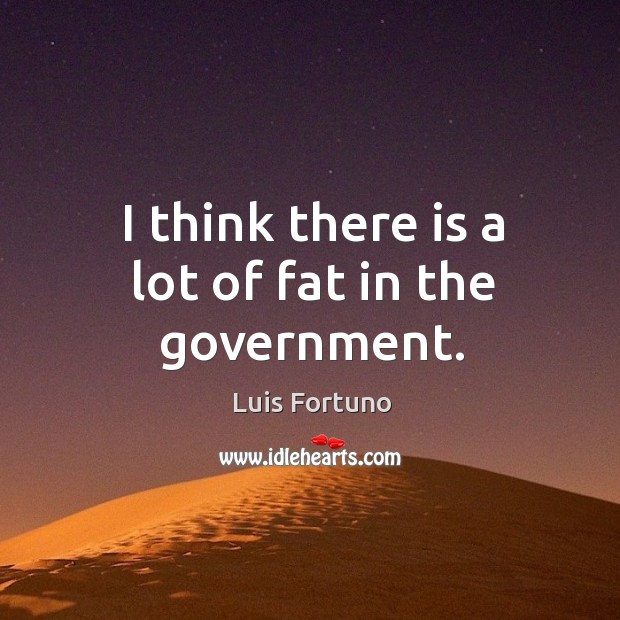 I think there is a lot of fat in the government. Luis Fortuno Picture Quote