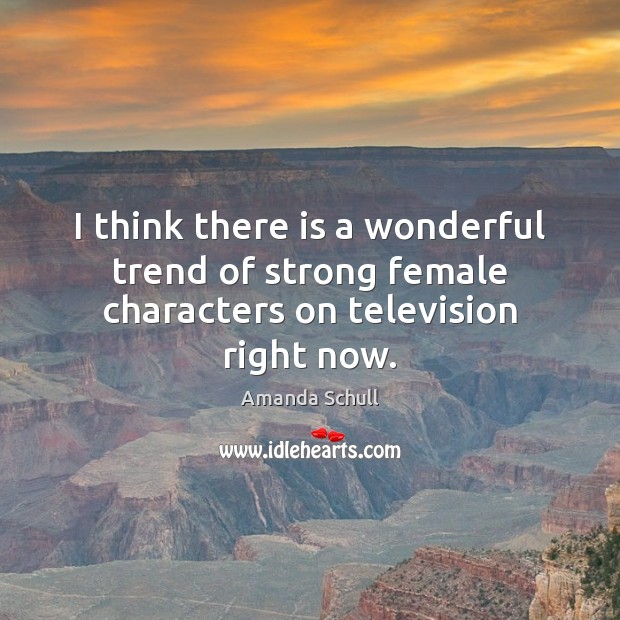 I think there is a wonderful trend of strong female characters on television right now. Amanda Schull Picture Quote