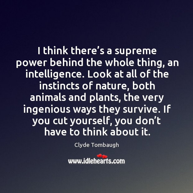 I think there’s a supreme power behind the whole thing, an intelligence. Clyde Tombaugh Picture Quote