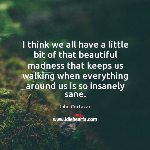 I think we all have a little bit of that beautiful madness Julio Cortazar Picture Quote