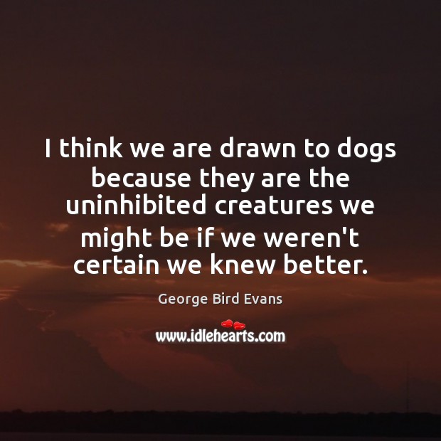 I think we are drawn to dogs because they are the uninhibited Image