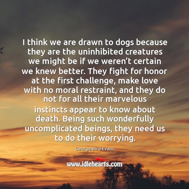 I think we are drawn to dogs because they are the uninhibited creatures we might be if we weren’t certain we knew better. Challenge Quotes Image