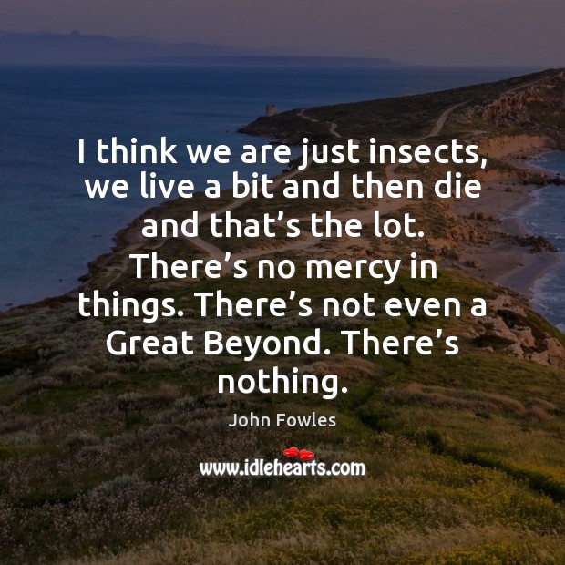 I think we are just insects, we live a bit and then John Fowles Picture Quote