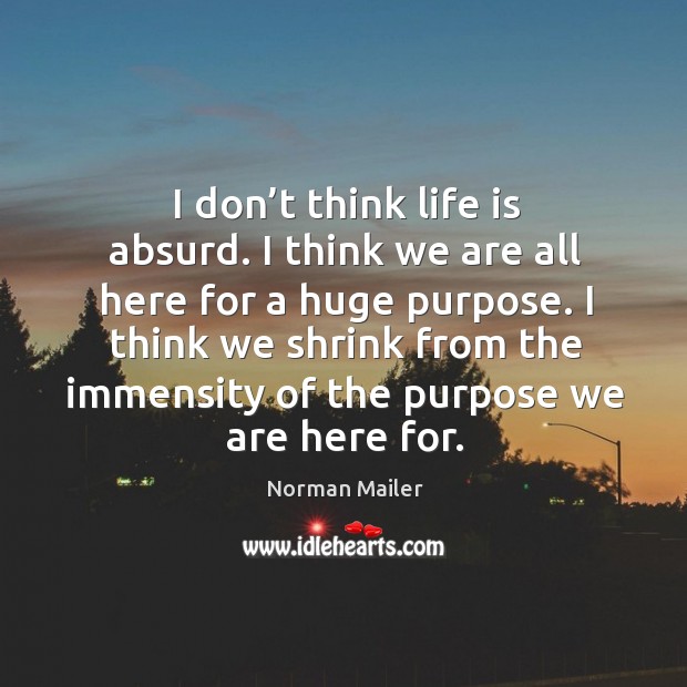 I think we shrink from the immensity of the purpose we are here for. Norman Mailer Picture Quote