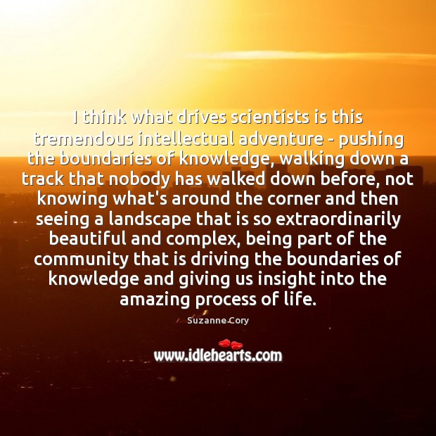 I think what drives scientists is this tremendous intellectual adventure – pushing Suzanne Cory Picture Quote
