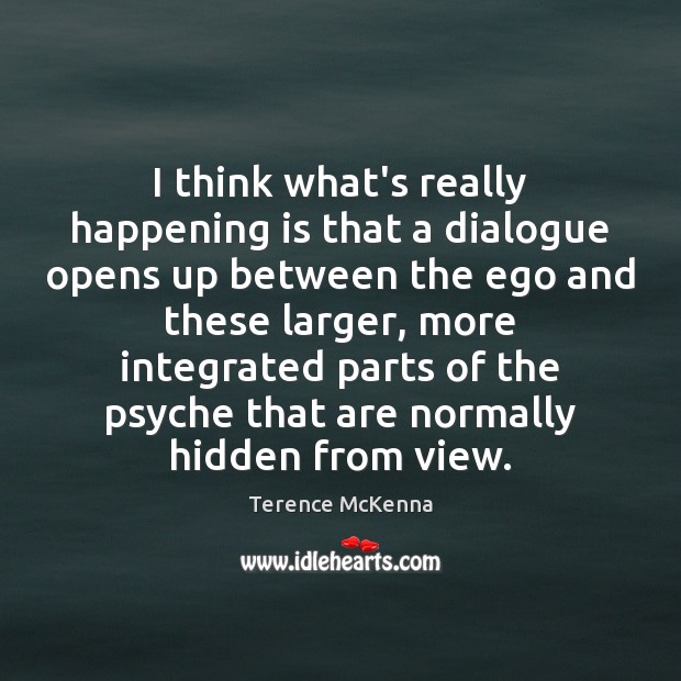 I think what’s really happening is that a dialogue opens up between Terence McKenna Picture Quote