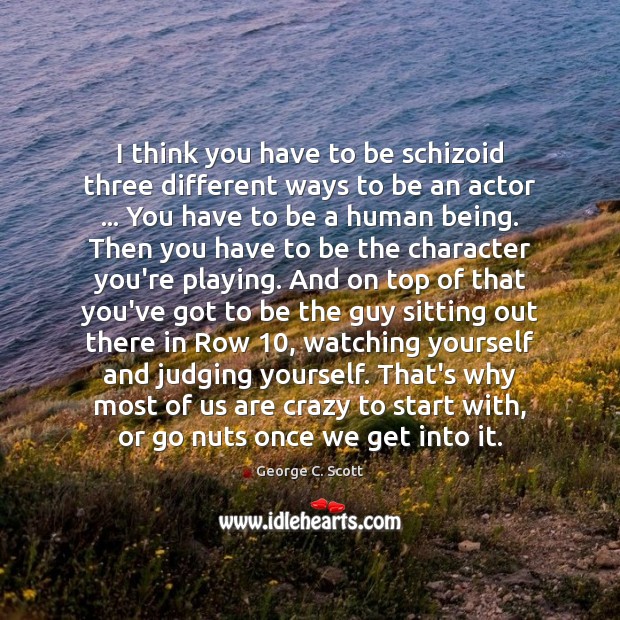 I think you have to be schizoid three different ways to be Image