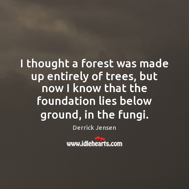 I thought a forest was made up entirely of trees, but now Derrick Jensen Picture Quote