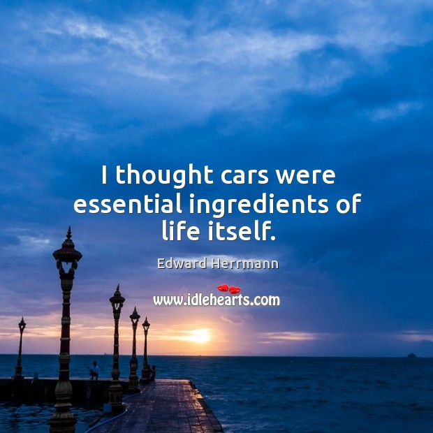 I thought cars were essential ingredients of life itself. Image