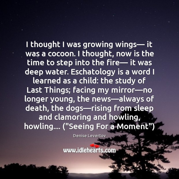 I thought I was growing wings— it was a cocoon. I thought, Denise Levertov Picture Quote