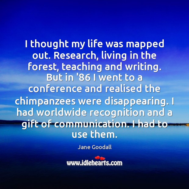 I thought my life was mapped out. Research, living in the forest, Image