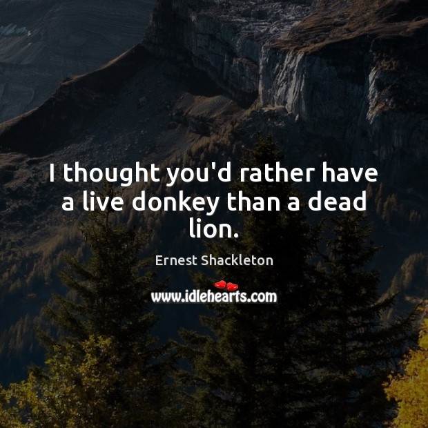 I thought you’d rather have a live donkey than a dead lion. Ernest Shackleton Picture Quote