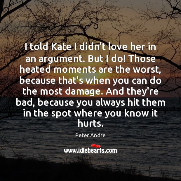 I told Kate I didn’t love her in an argument. But I Image