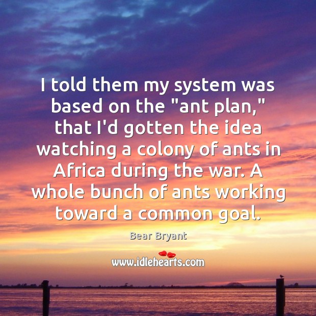 I told them my system was based on the “ant plan,” that Bear Bryant Picture Quote