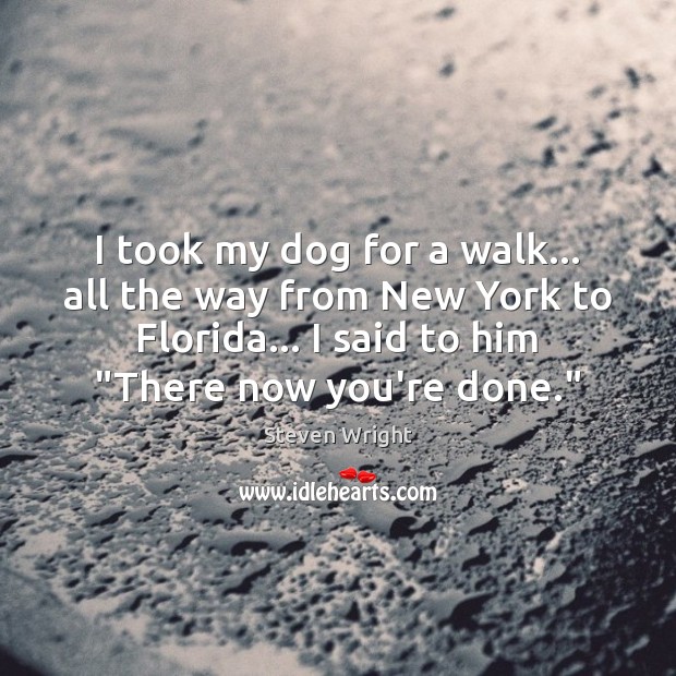 I took my dog for a walk… all the way from New Image