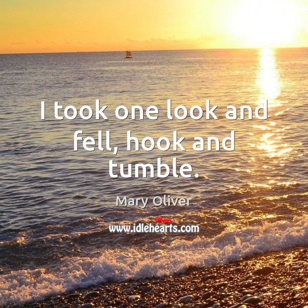 I took one look and fell, hook and tumble. Mary Oliver Picture Quote