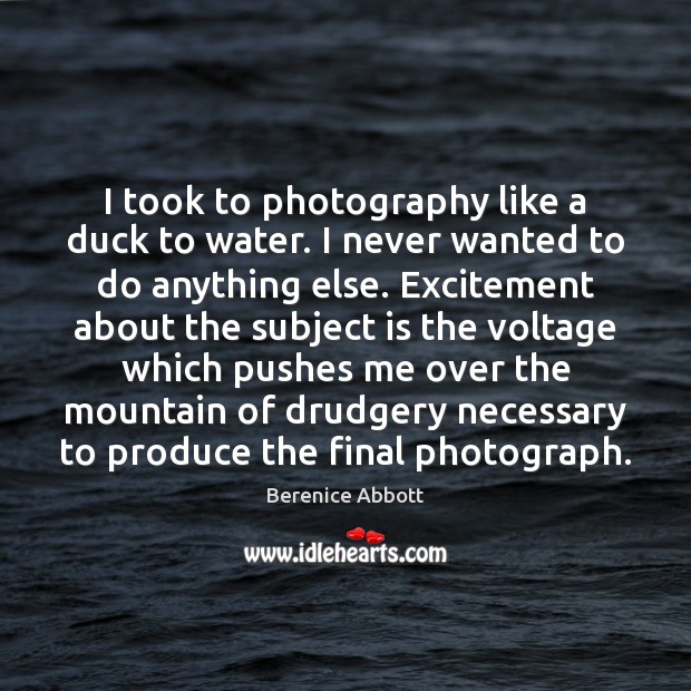 I took to photography like a duck to water. I never wanted Berenice Abbott Picture Quote