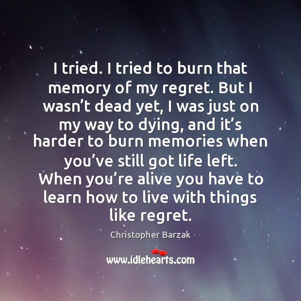 I tried. I tried to burn that memory of my regret. But Christopher Barzak Picture Quote