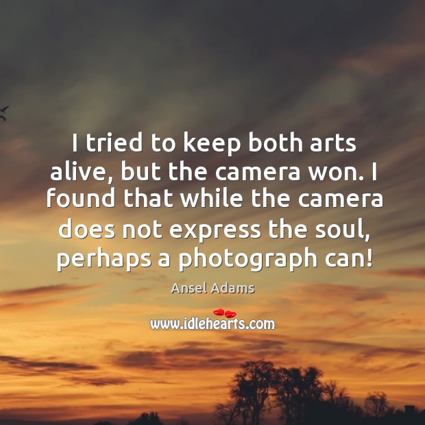 I tried to keep both arts alive, but the camera won. Ansel Adams Picture Quote