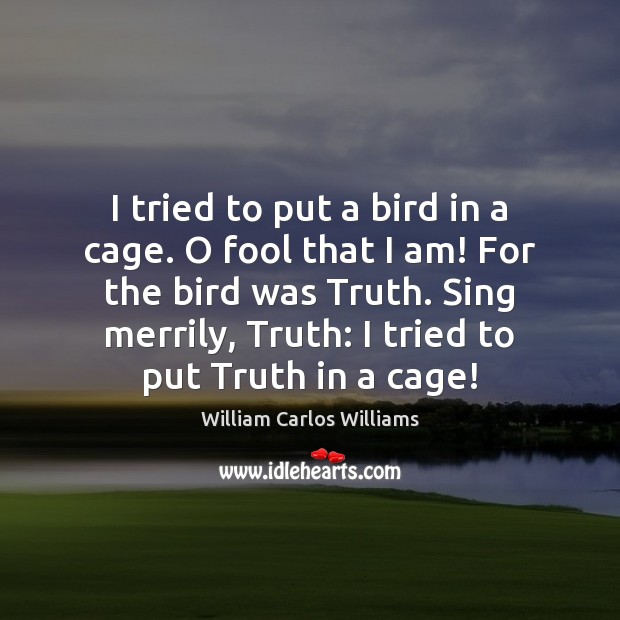 I tried to put a bird in a cage. O fool that William Carlos Williams Picture Quote