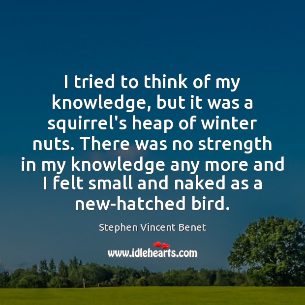 I tried to think of my knowledge, but it was a squirrel’s Stephen Vincent Benet Picture Quote