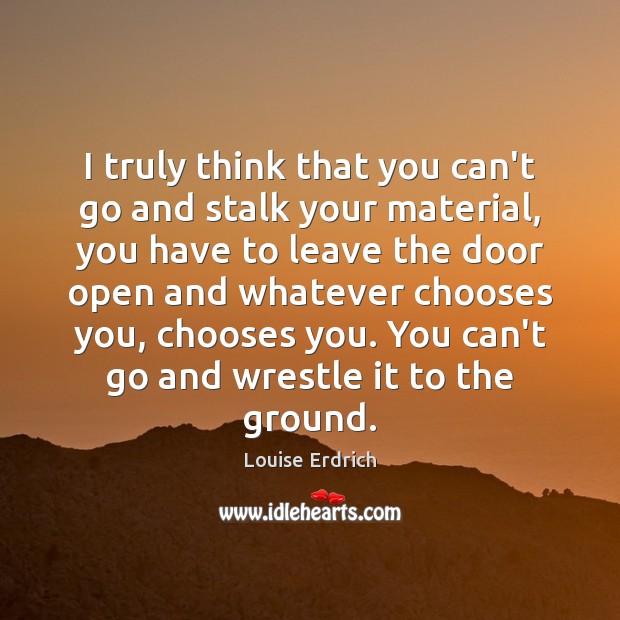 I truly think that you can’t go and stalk your material, you Louise Erdrich Picture Quote