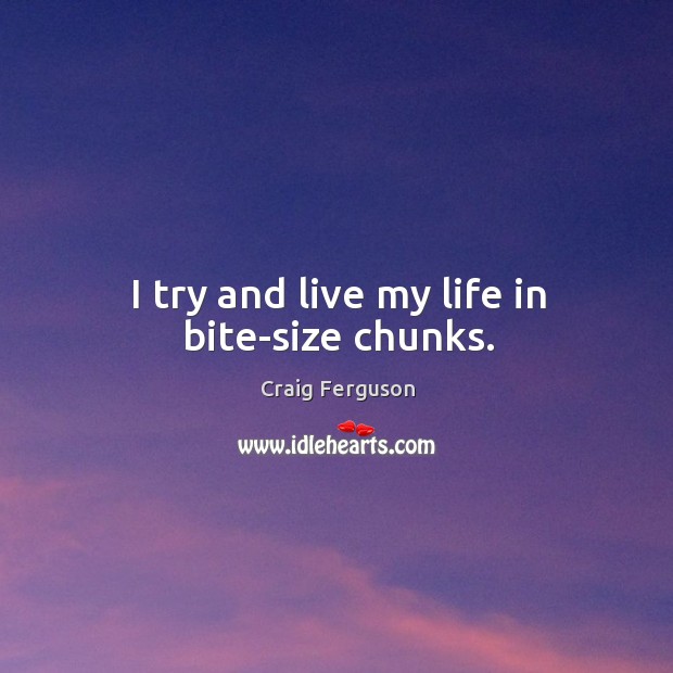 I try and live my life in bite-size chunks. Craig Ferguson Picture Quote
