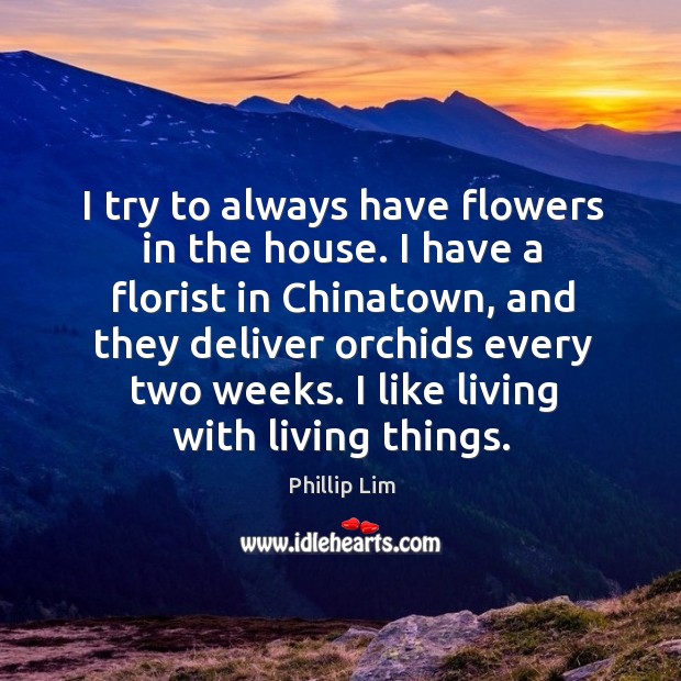 I try to always have flowers in the house. I have a florist in chinatown, and they. Phillip Lim Picture Quote