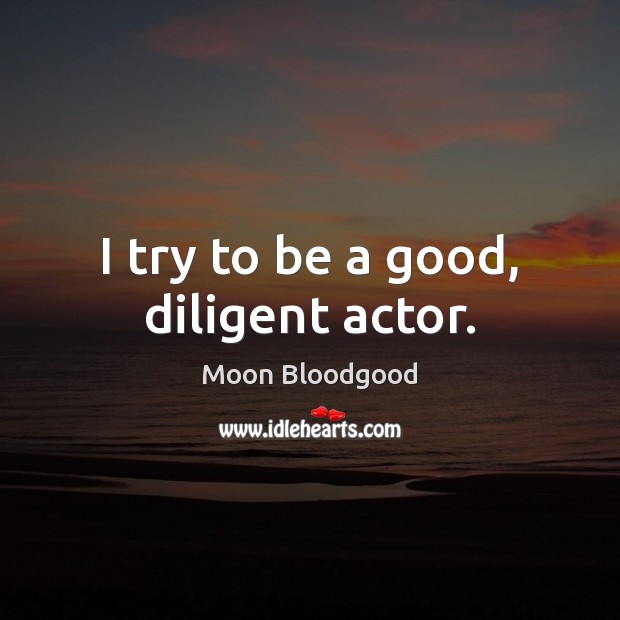 I try to be a good, diligent actor. Moon Bloodgood Picture Quote