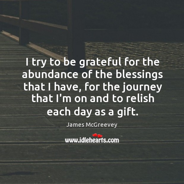 I try to be grateful for the abundance of the blessings that James McGreevey Picture Quote