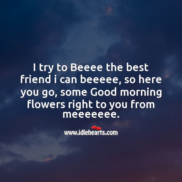 I try to beeee the best friend I can beeeee Good Morning Quotes Image